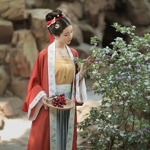 SOLD - Chinese Song dynasty hanfu - long cardigan